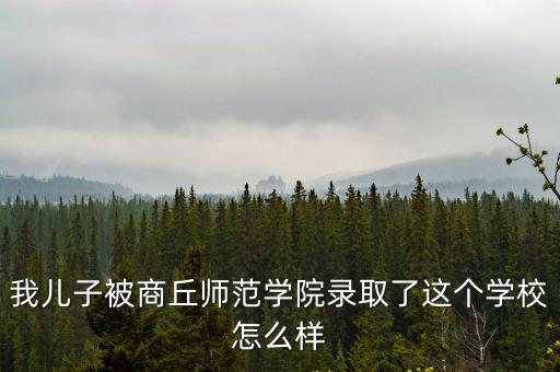 商丘師范學院國際教育部怎么樣,商丘師范學院如何