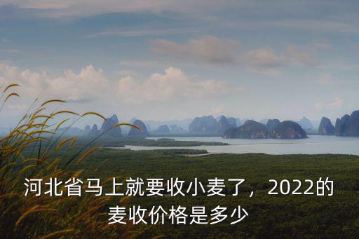 河北省馬上就要收小麥了，2022的麥收價格是多少