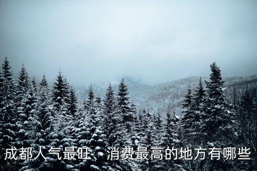 成都人氣最旺、消費(fèi)最高的地方有哪些