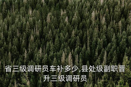 河北省三級調(diào)研員車補(bǔ)多少,縣處級副職晉升三級調(diào)研員