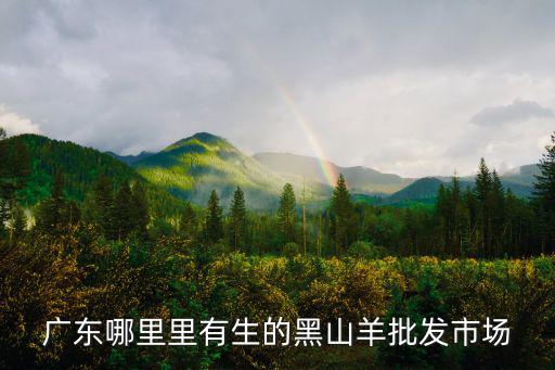 廣元黑山羊哪里有,哪里有薩能黑山羊