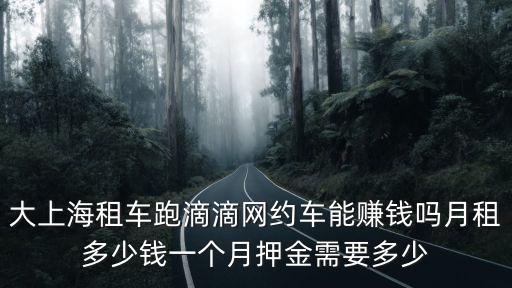 大上海租車跑滴滴網約車能賺錢嗎月租多少錢一個月押金需要多少