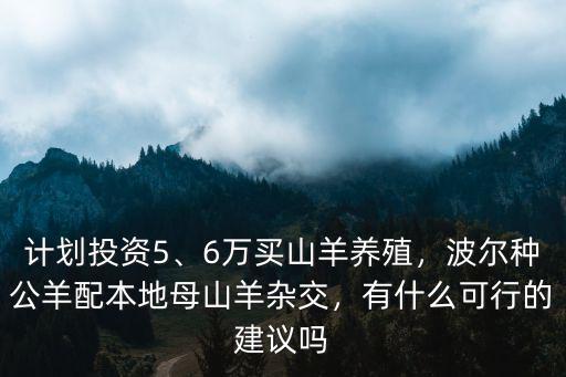 計劃投資5、6萬買山羊養殖，波爾種公羊配本地母山羊雜交，有什么可行的建議嗎
