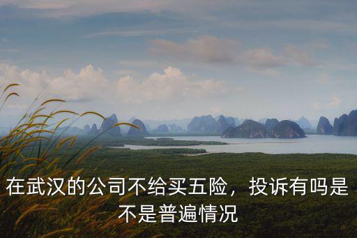 在武漢的公司不給買五險，投訴有嗎是不是普遍情況
