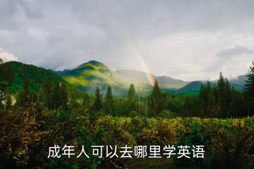 成年人可以去哪里學英語