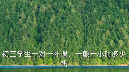 初三學生一對一補課，一般一小時多少錢