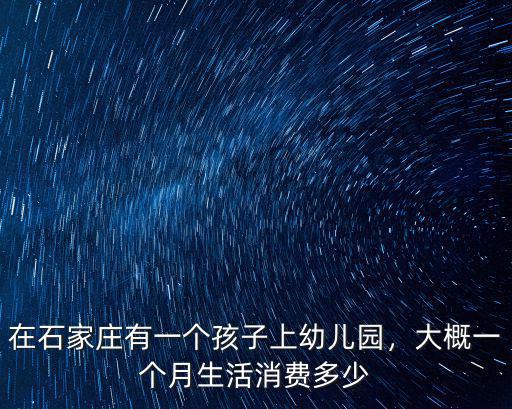 石家莊最貴幼兒園學費多少錢,你們當地幼兒園一學期多少錢