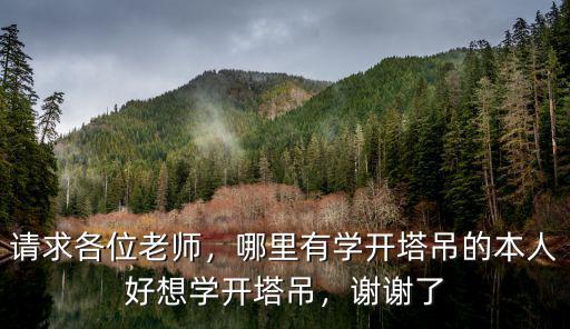 請(qǐng)求各位老師，哪里有學(xué)開塔吊的本人好想學(xué)開塔吊，謝謝了