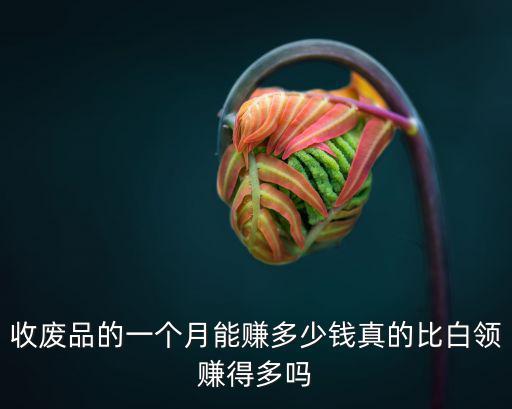 收廢品的一個月能賺多少錢真的比白領賺得多嗎