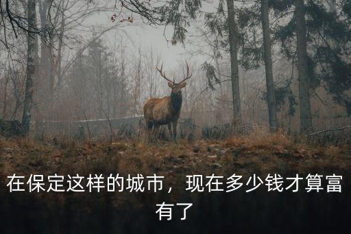 在保定這樣的城市，現在多少錢才算富有了