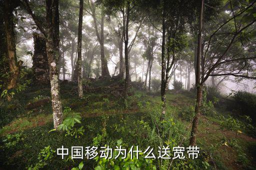 衡水移動(dòng)多少錢(qián)送寬帶,移動(dòng)99元套餐送寬帶