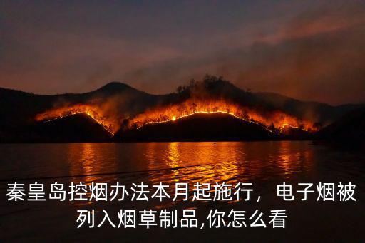 秦皇島控?zé)熮k法本月起施行，電子煙被列入煙草制品,你怎么看