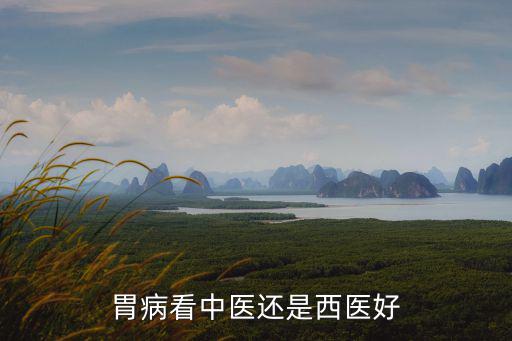 綿陽看胃病中醫(yī)哪里好,看胃病是中醫(yī)好