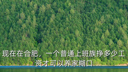 現(xiàn)在在合肥，一個普通上班族掙多少工資才可以養(yǎng)家糊口