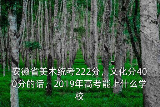 安徽省美術統考222分，文化分400分的話，2019年高考能上什么學校