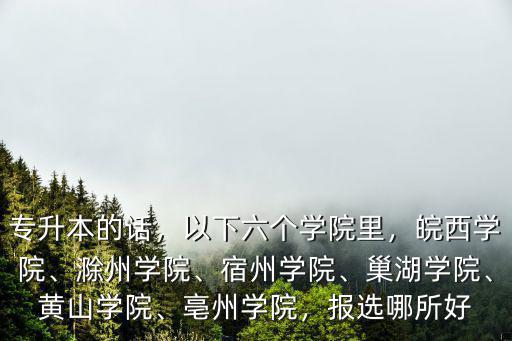 專升本的話，以下六個學院里，皖西學院、滁州學院、宿州學院、巢湖學院、黃山學院、亳州學院，報選哪所好