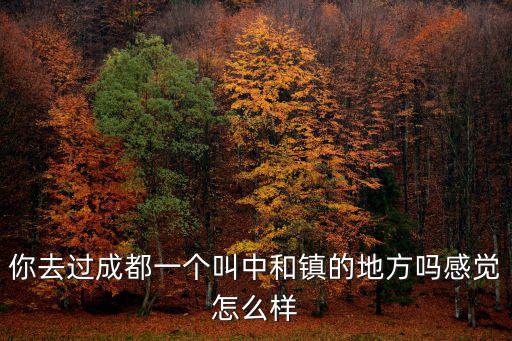 你去過成都一個叫中和鎮(zhèn)的地方嗎感覺怎么樣