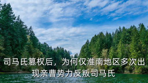 司馬氏篡權(quán)后，為何僅淮南地區(qū)多次出現(xiàn)親曹勢力反叛司馬氏