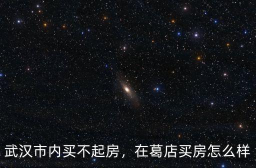武漢市內買不起房，在葛店買房怎么樣