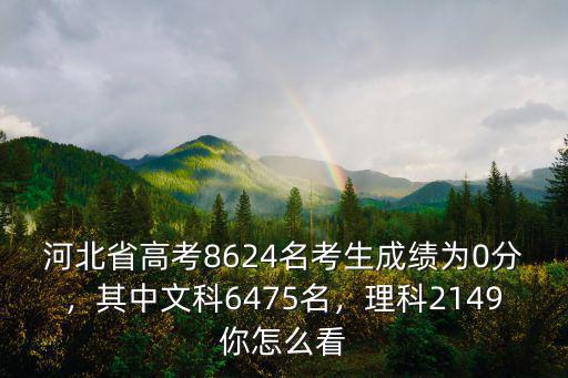 今年河北省考生多少名,今年河北有24萬高考生
