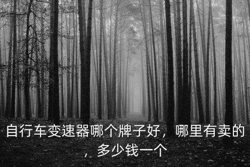 廣元市哪里有賣專業(yè)自行車,自行車都在哪里賣掉