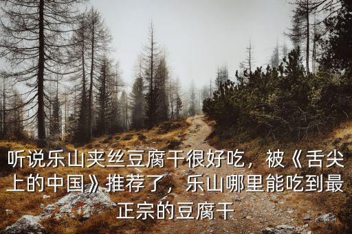 聽說樂山夾絲豆腐干很好吃，被《舌尖上的中國》推薦了，樂山哪里能吃到最正宗的豆腐干