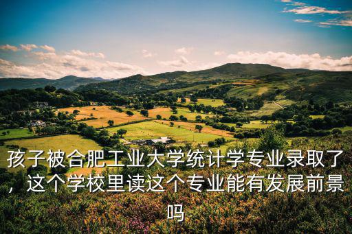 孩子被合肥工業大學統計學專業錄取了，這個學校里讀這個專業能有發展前景嗎