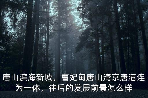 唐山曹妃甸濱海公路限速多少,唐山濱海新城