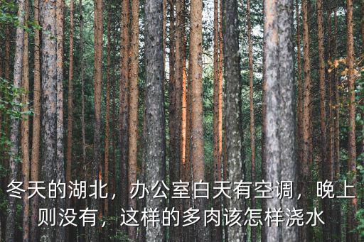 冬天的湖北，辦公室白天有空調，晚上則沒有，這樣的多肉該怎樣澆水