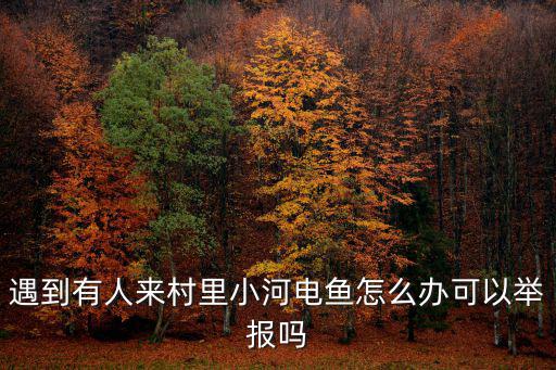 宜賓市有人電魚在哪里舉報,舉報電魚沒有人管