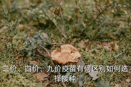 成都二價疫苗在哪里接種,宮頸癌疫苗在哪里打