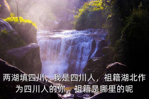 兩湖填四川，我是四川人，祖籍湖北作為四川人的你，祖籍是哪里的呢