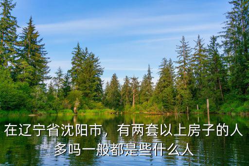 在遼寧省沈陽(yáng)市，有兩套以上房子的人多嗎一般都是些什么人
