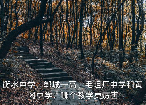 黃岡中學怎么復讀,百年黃岡中學