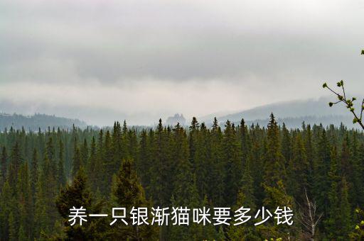 養一只銀漸貓咪要多少錢