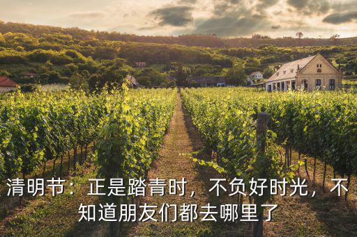 達州清明踏青去哪里,去哪里賞花踏青比較好