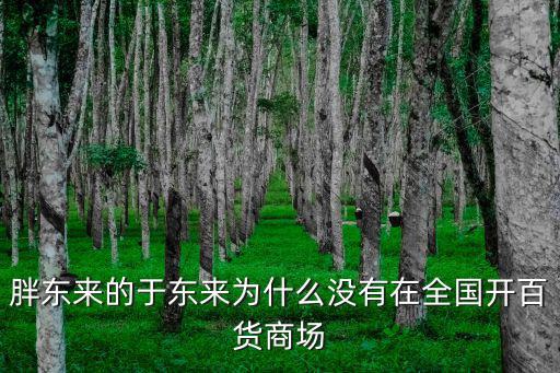 新鄉(xiāng)胖東來商場怎么樣,河南的胖東來商場