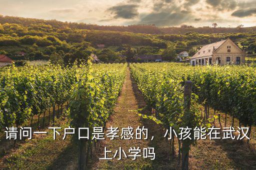 外地戶口小孩怎么在武漢上學,小孩能在武漢上小學嗎