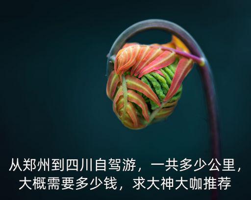 從鄭州到成都開車需要多少油,從鄭州到四川自駕游
