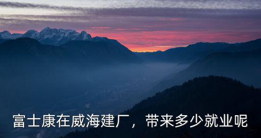 富士康在安徽投資了多少錢,富士康在威海建廠