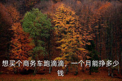 淮南跑滴滴一個月能掙多少錢,一個月能掙多少錢
