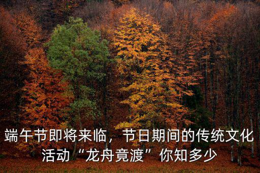 成都端午節哪里劃龍舟,端午節你們那里有劃龍舟嗎