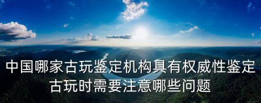 中國哪家古玩鑒定機構具有權威性鑒定古玩時需要注意哪些問題