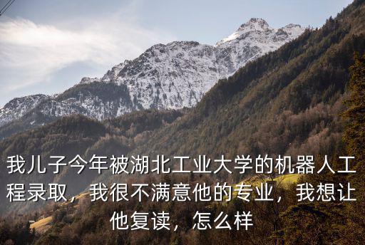 湖北工業(yè)大學(xué)的就業(yè)率怎么樣,湖北工業(yè)大學(xué)什么專業(yè)好