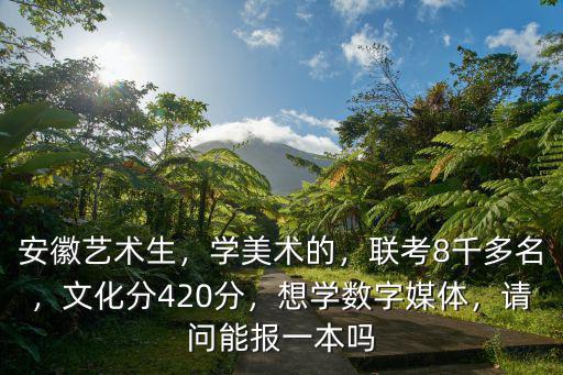 安徽藝術(shù)生，學(xué)美術(shù)的，聯(lián)考8千多名，文化分420分，想學(xué)數(shù)字媒體，請問能報(bào)一本嗎