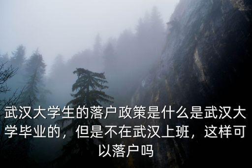 武漢大學畢業生落戶登記表怎么填,大學生怎么能落戶武漢
