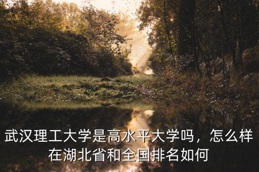 武漢理工大學是高水平大學嗎，怎么樣在湖北省和全國排名如何