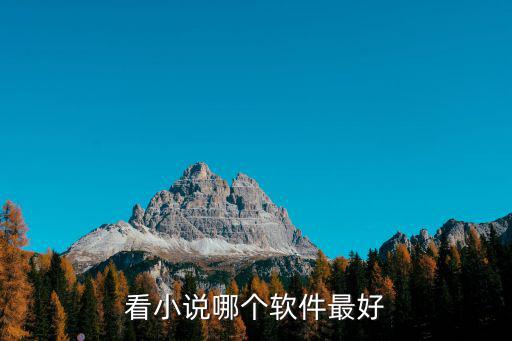 洛陽橋在哪里看小說軟件,看小說哪個軟件最好