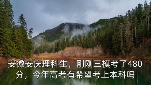 安徽安慶理科生，剛剛?cè)？剂?80分，今年高考有希望考上本科嗎