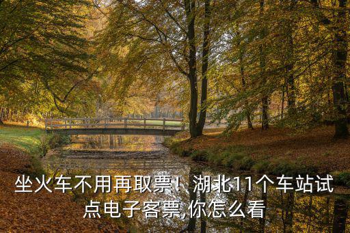 湖北公交刷臉電子客票怎么退,電子客票時代怎么坐火車